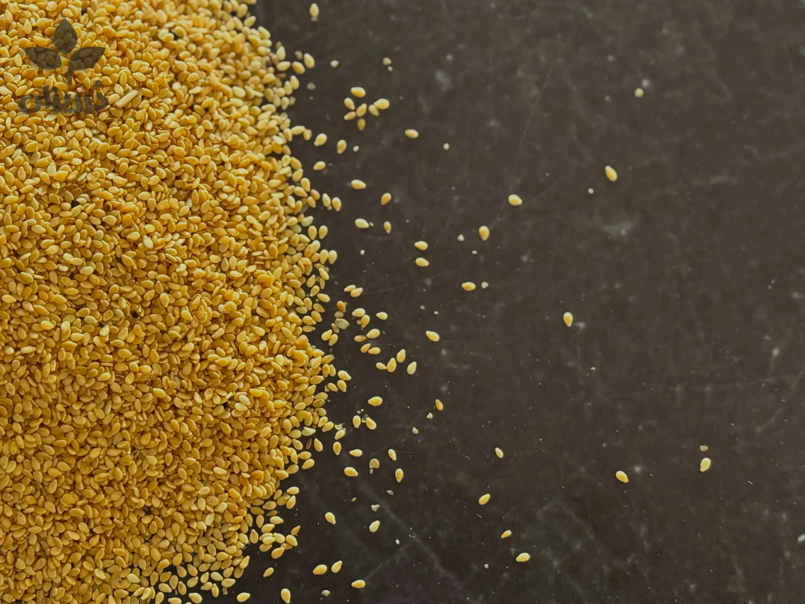 قیمت کنجد اردهگیری