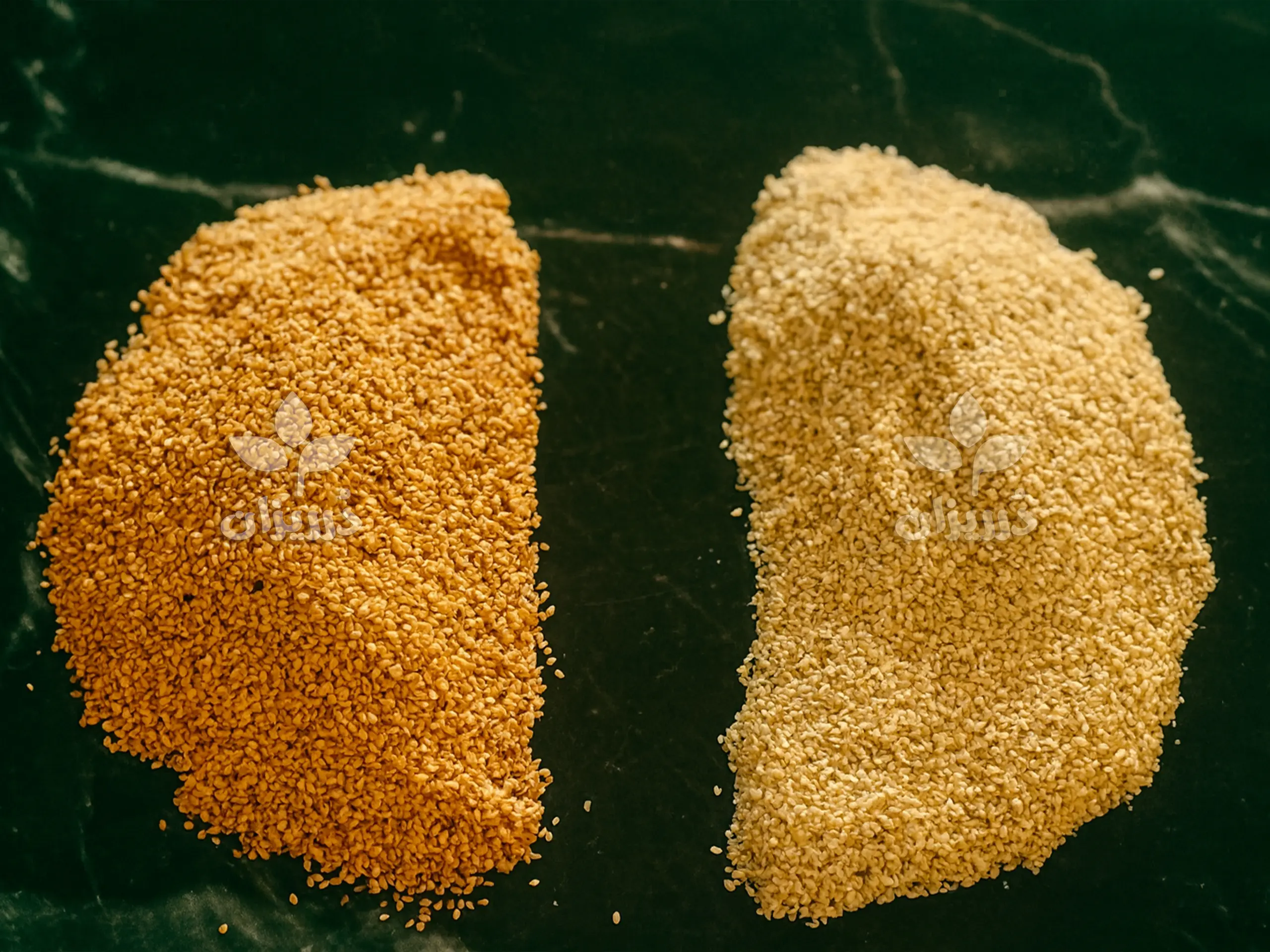 عوامل موثر در قیمت کنجد اردهگیری