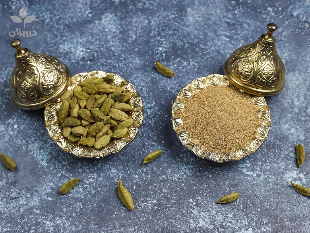 خرید انواع هل 