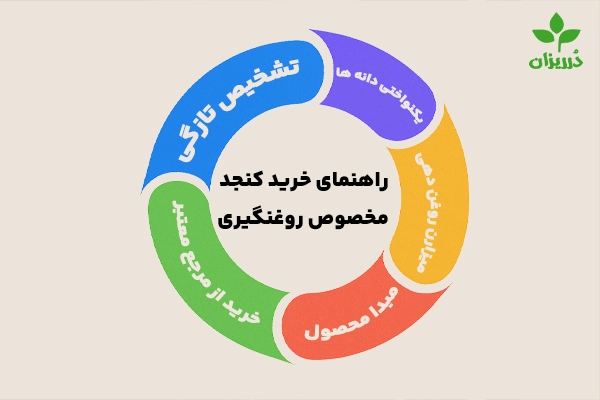 قیمت و خرید کنجد مخصوص روغن گیری