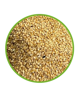 کنجد ارده گیری