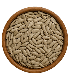  عکس تصویری از مغز تخمه آفتابگردان چینی بسته 12.5 کیلویی 