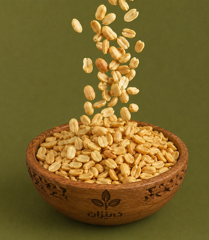  عکس تصویری از بادام زمینی هندی یک آتیشه 