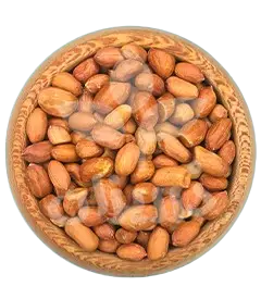  عکس تصویری از None 