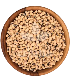  عکس تصویری از لوبیا چشم بلبلی درجه یک 