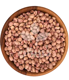  عکس تصویری از None 