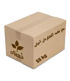  عکس تصویری از None 