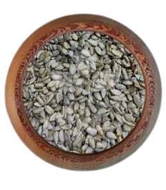  عکس تصویری از None 