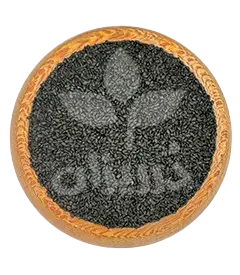  عکس تصویری از None 