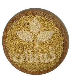 عکس کوچک کنجد ارده 1 آتیشه