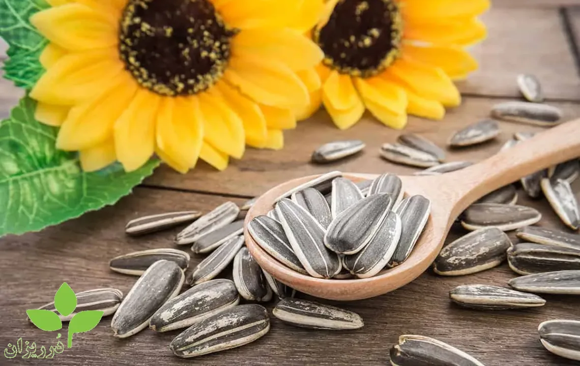عکس تصویری از مضرات تخمه آفتابگردان برای کبد | اثرات مصرف بر سلامت کبد