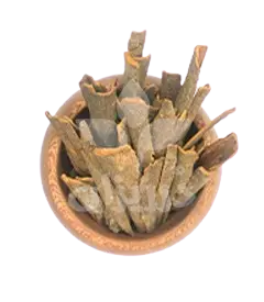 عکس کوچک دارچین گلسرخی