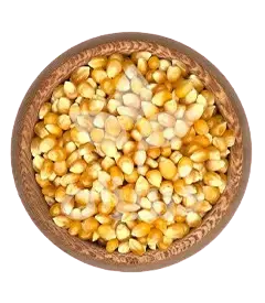 عکس کوچک ذرت پاپ کرن