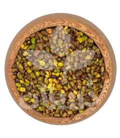 عکس کوچک مغز بنه کوهی (پسته وحشی)