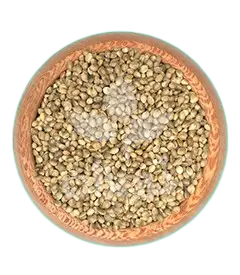 عکس کوچک شاهدانه