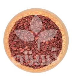 عکس کوچک دان سماق قرمز