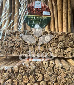 عکس کوچک دارچین سیلان