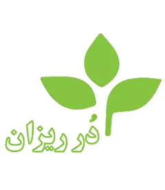 عکس کوچک دانه مورینگا