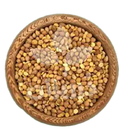 عکس کوچک مغز هسته آلبالو