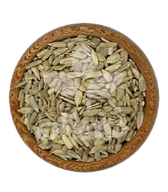 عکس کوچک مغز آفتابگردان ایرانی سالم