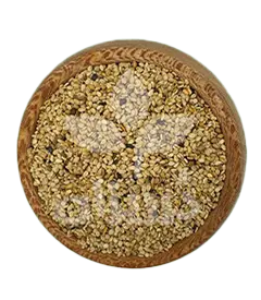 عکس کوچک کنجد پاکستانی روغن گیری