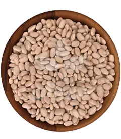 عکس کوچک لوبیا سفید ممتاز