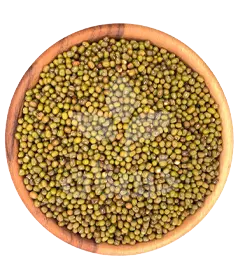 عکس کوچک ماش سبز درجه یک