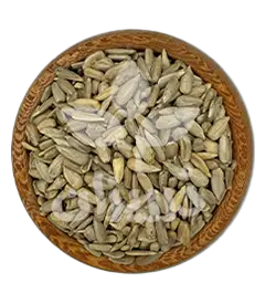 عکس کوچک مغز آفتابگردان آجیلی