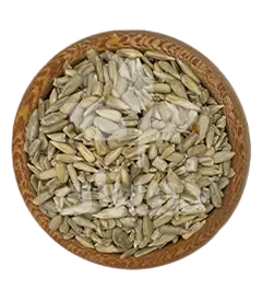 عکس کوچک مغز آفتابگردان ریز