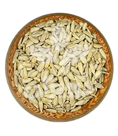 عکس کوچک مغز آفتابگردان شمشیری