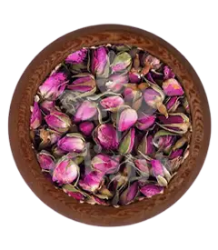 عکس کوچک غنچه گل محمدی