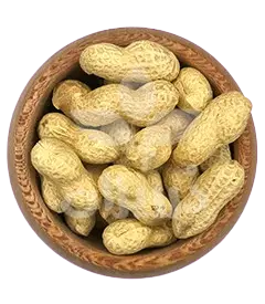 عکس کوچک بادام زمینی غلاف دار