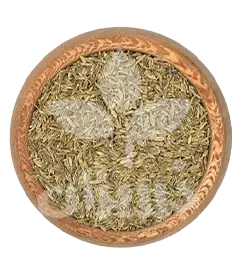 عکس کوچک زیره سبز